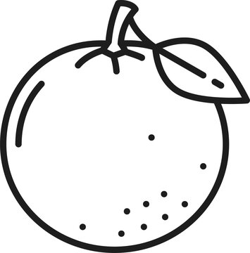 recommend clip art: Orange outline icon, vector citrus fruit of Cuba