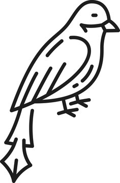 Cuban trogon outline icon, national bird of Cuba