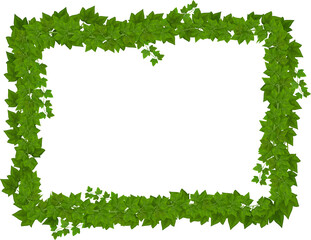 Cartoon ivy frame, vector green rectangular border - obrazy, fototapety, plakaty