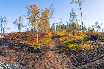 The destruction of a beloved forest path - Hovdetoppen Hill, Gjøvik, Norway.