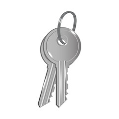 silver key. House key. Silver keys. 3d home icon. Vector illustration.