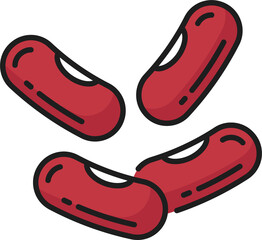 Kidney beans, seeds isolated outline legumes food