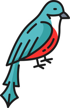 Cuban trogon colorful tropical bird outline icon
