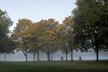 Beautiful shot of a misty forest with autumn trees and silhouettes of two cyclists