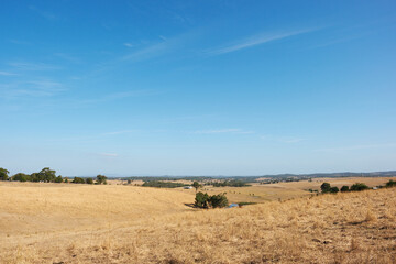 Fototapeta na wymiar Arid Pasture and Grazing land at the end of an Australian Summer, Near Buxton Victoria