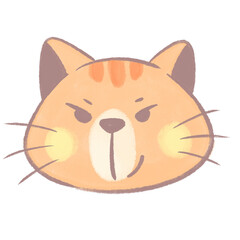 cat cute