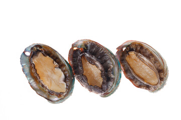 Abalone shellfish on a white background