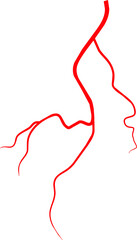 Vein blood vessel, anatomy artery eye capillary