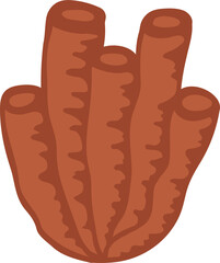 Underwater tube shape seaweed coral aquarium plant