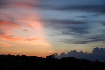 Silhouette of trees on the sunset