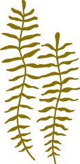 Fototapeta na wymiar Gorgonian seaweed bushy soft coral cartoon plant