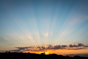 Beautiful view of a sunset with tree silhouettes in the foreground
