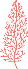 Sea coral isolated anemone seaweed pink branch © Vector Tradition