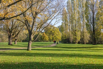 Obraz premium a view of a park through the trees in autumn, with people in the distance