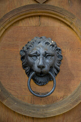 lion head door knocker