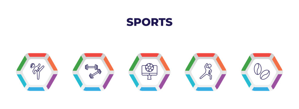 editable outline icons with infographic template. infographic for sports concept. included taekwondo, weighted bars, football channel, stretching, brazilian icons.