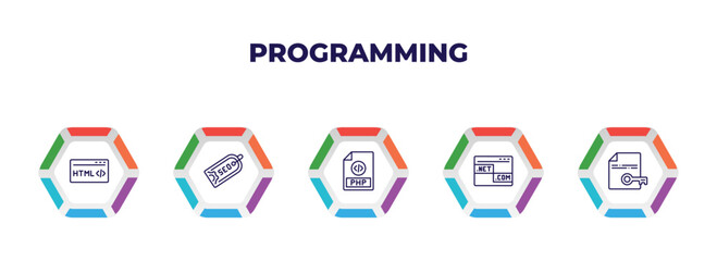 editable outline icons with infographic template. infographic for programming concept. included html, seo tags, php, web domain, encripted file icons.