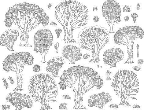 Set of trees, flowering bushes, evergreen ornamental herbs, cartoon plants isolated on a transparent. Hand drawn doodle sketch, coloring book page