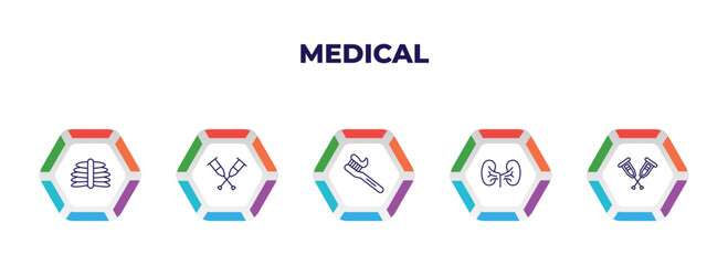 editable outline icons with infographic template. infographic for medical concept. included x ray, crutch, tooth brush, kidney, crutches icons.