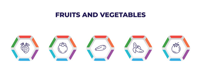 editable outline icons with infographic template. infographic for fruits and vegetables concept. included lychee, mangosteen, courgette, banana, tomato icons.
