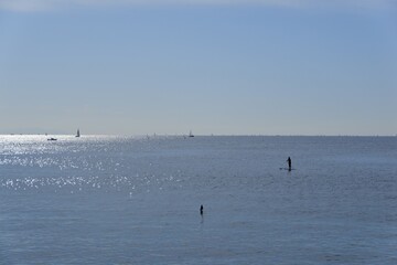 葉山、神奈川、日本、海、景色、ヤシの木、やし、自然、富士山、神社、道、海岸線、ヨット、空、岩、ビーチ、
