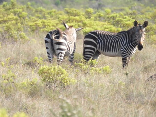 Road Trip Karoo Nat Park 