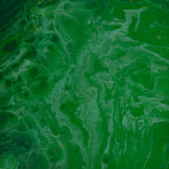My original painting in bright bold colours, Fluid art