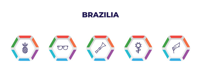 editable outline icons with infographic template. infographic for brazilia concept. included pine, sun glasses, vuvuzela, sunflower, feathers icons.