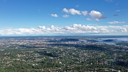Fototapeta na wymiar vue panoramique d'Oslo depuis Holmenkollen, norvège