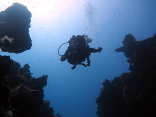 diver at red sea