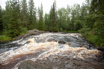 Beautiful view on mountain river, fast water flow in forest