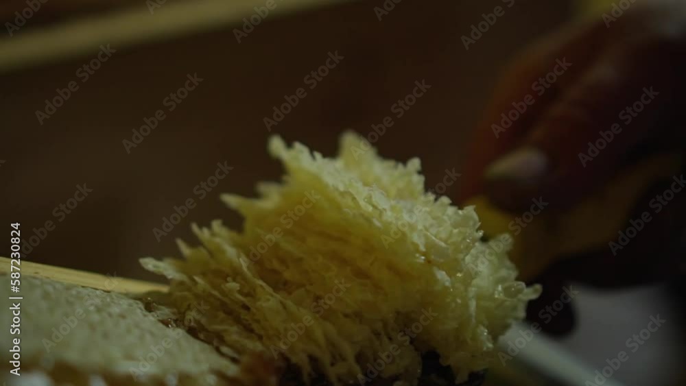 Poster prepare the honeycombs with the uncapping fork for the extractor. slow motion 120p