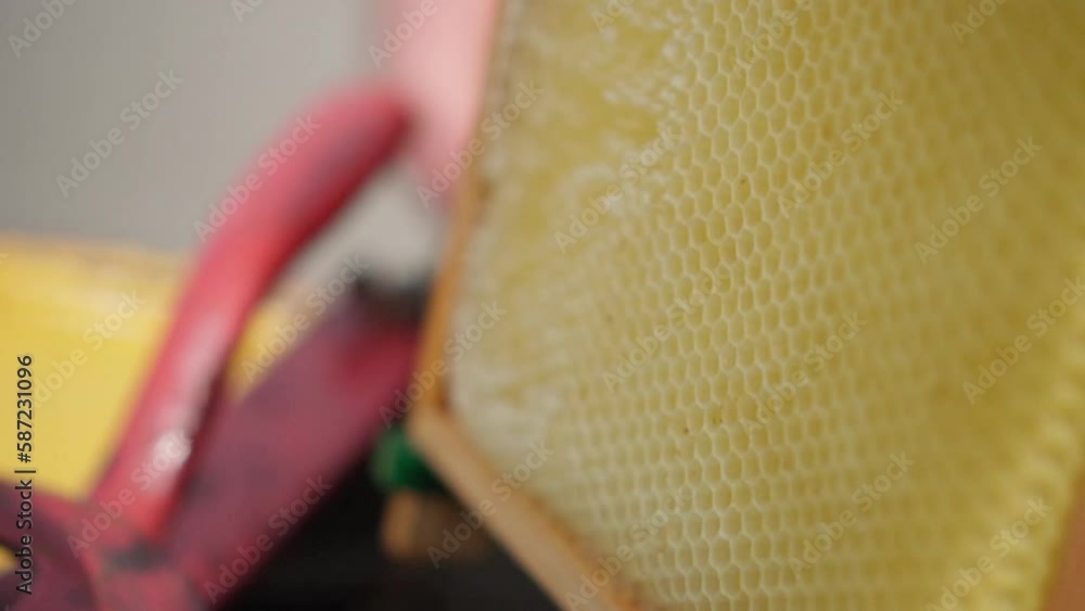 Poster beekeeper removes empty honeycomb frame from honey extractor. slow motion 120p