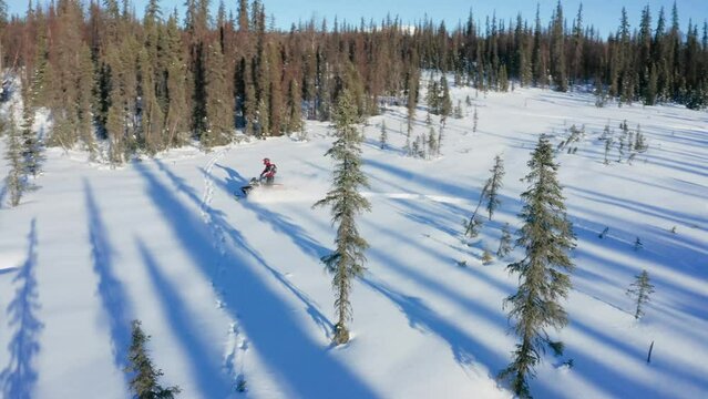 Two friends snowmobiling through the snow-covered terrain of Talkeetna, Alaska, pushing the limits of their snowmobiles, having fun and enjoying the breathtaking winter landscape
