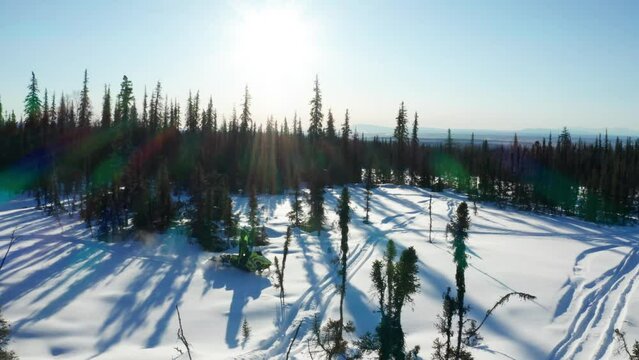 Two friends snowmobiling through the snow-covered terrain of Talkeetna, Alaska, pushing the limits of their snowmobiles, having fun and enjoying the breathtaking winter landscape