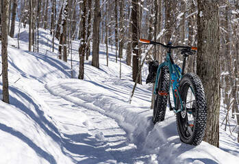 fat bike rear and trail