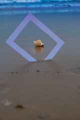 frame on the beach