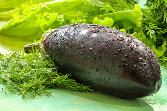 Eggplants are covered with water drops. Eggplant, lettuce and dill lie on a wooden green background