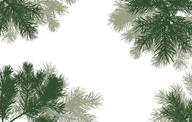 coniferous branches of trees silhouette, background. Vector illustration