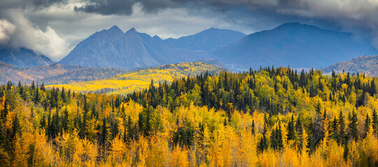 landscape with mountains and boreal forest in autumn colors, Alaska USA