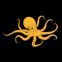 Octopus on a black background