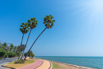Obraz premium Three palm trees and the beach landmark of Pranburi, Prachuap Khiri Khan,Thailand, A place for tourists and a beautiful beach.take a souvenir photo