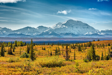 Landscape with taiga in autumn colours and mount Denali, Alaska 