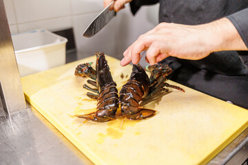 dettaglio della preparazione dell'aragosta dalle mani esperte di un cuoco .