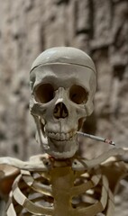 Vertical shot of a skeleton with a cigarette - smoking kills concept