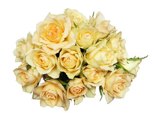 Bouquet of yellow roses   isolated