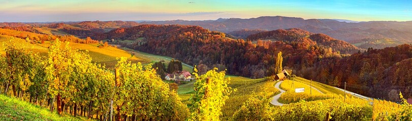 Panoramic landscape of autumn foliage on the hills