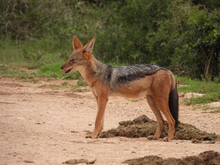 National Parks across South Africa 