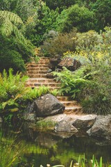 Fototapeta na wymiar Botanical Stairway in Blue Mountain