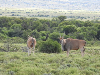 National Parks across South Africa 
